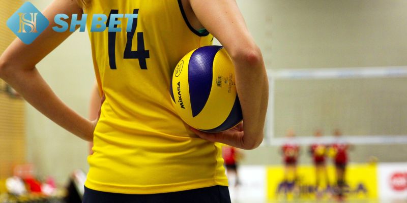 Các loại cược phổ biến khi tham gia cá cược bóng chuyền SHBET
